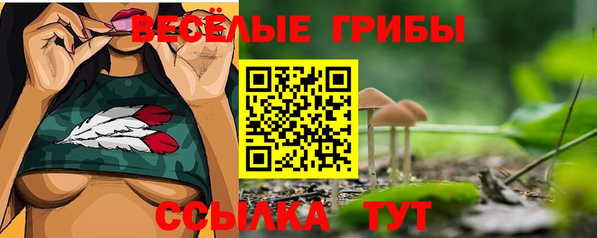 Галлюциногенные грибы GOLDEN TEACHER Фурманов