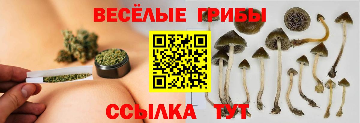 Псилоцибиновые грибы мицелий  Вход с VPN  Галлюциногенные грибы GOLDEN TEACHER  Фурманов 